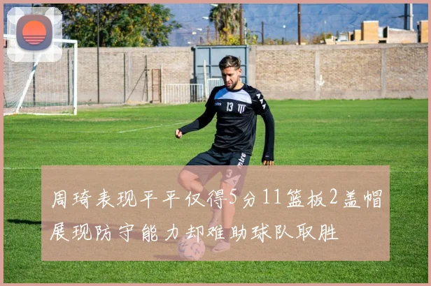 周琦表现平平仅得5分11篮板2盖帽展现防守能力却难助球队取胜
